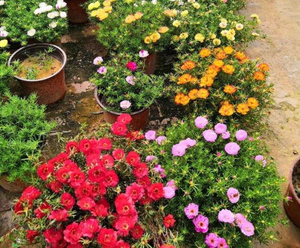 1632366992151203.jpg image.jpg