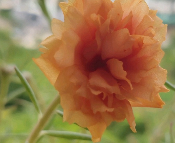 1632367011329514.jpg image.jpg