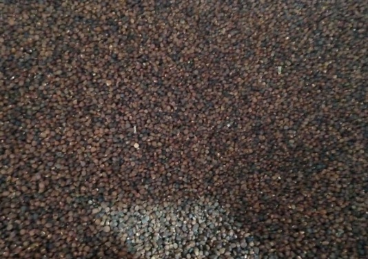 1632377487298250.jpg image.jpg