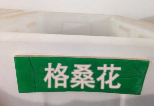 1632379085507397.jpg image.jpg