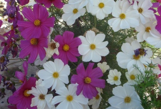 1632379167604987.jpg image.jpg