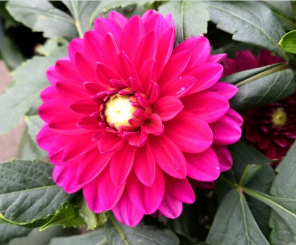 1632379649983536.jpg image.jpg