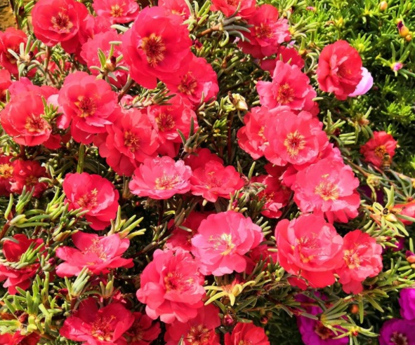 1632379708686475.jpg image.jpg