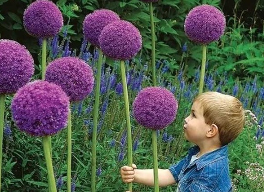 1632380231518331.jpg image.jpg