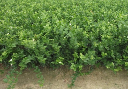 1632380391212240.jpg image.jpg