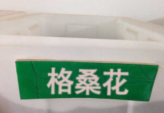 1632380810499641.jpg image.jpg