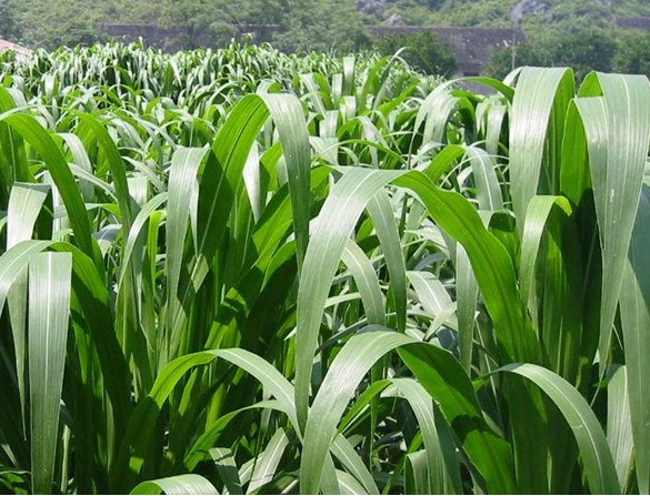 1632452398887673.jpg image.jpg