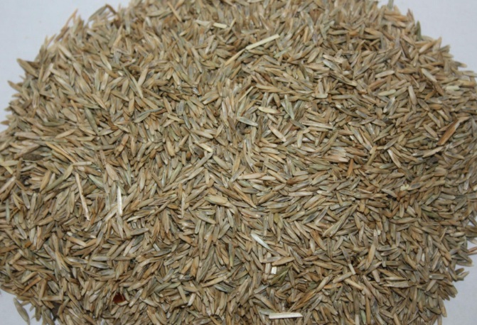 1632452664675316.jpg image.jpg