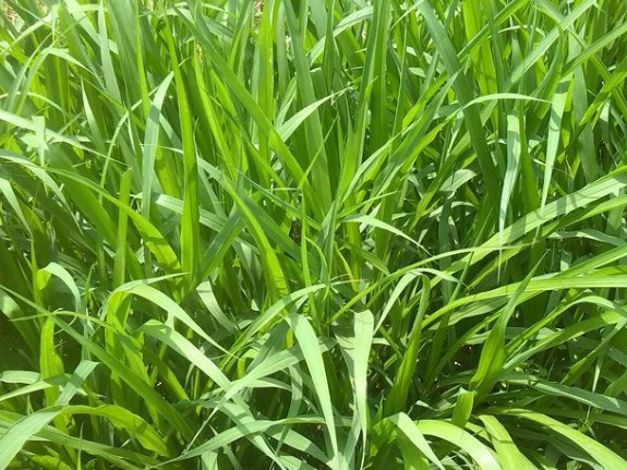 1632453034823870.jpg 1632453034823870.jpg