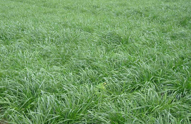 1632453931674360.jpg image.jpg