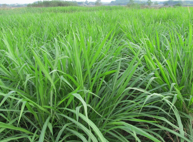 1632453941414056.jpg image.jpg