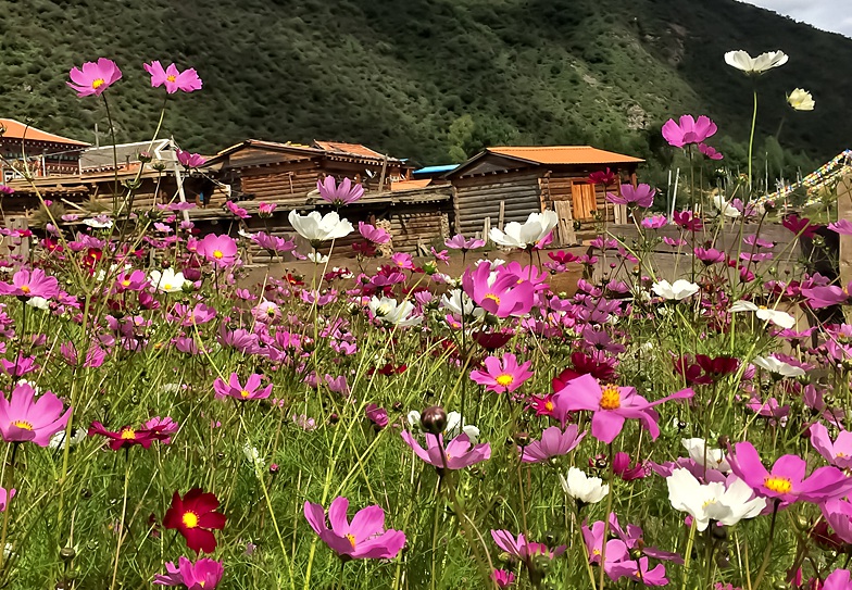 1632477723645537.jpg 1632477723645537.jpg