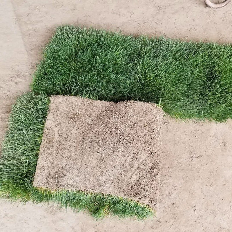 1632486552963556.jpg f22b29f019c196668bf237cda83419c0_1584584145239875.jpg