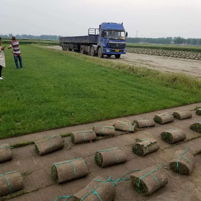 1632486565446822.jpg ee57d7762c9be18a18989f91156b7c45_1584584159953617.jpg