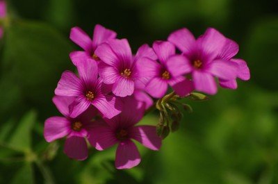 1632571316731879.jpg 1632571316731879.jpg