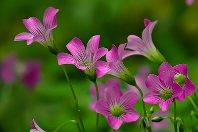 1632571336170623.jpg 1632571336170623.jpg