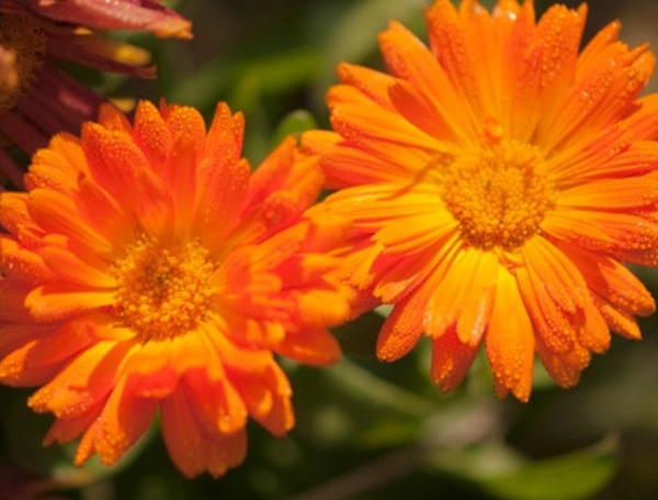 1632580496744321.jpg image.jpg