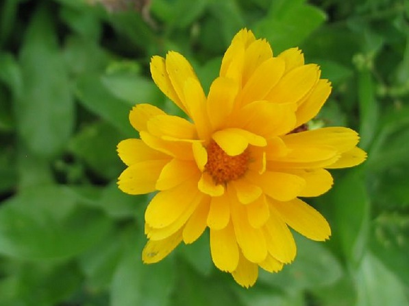 1632580512953468.jpg image.jpg