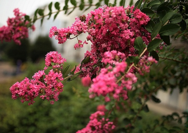 1632580773672329.jpg image.jpg