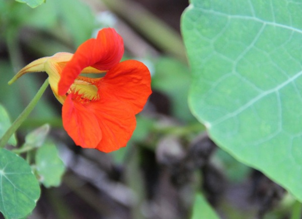 1632580859261865.jpg image.jpg