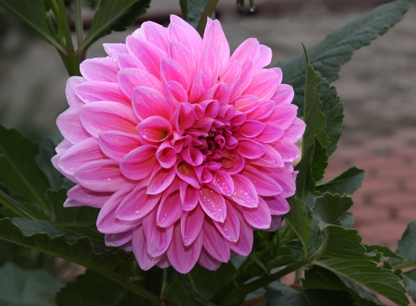 1632580995208016.jpg image.jpg