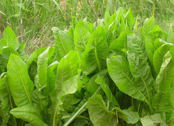 1632581817467899.jpg image.jpg