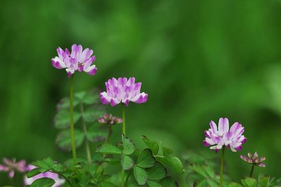 1632652347248390.jpg 1632652347248390.jpg