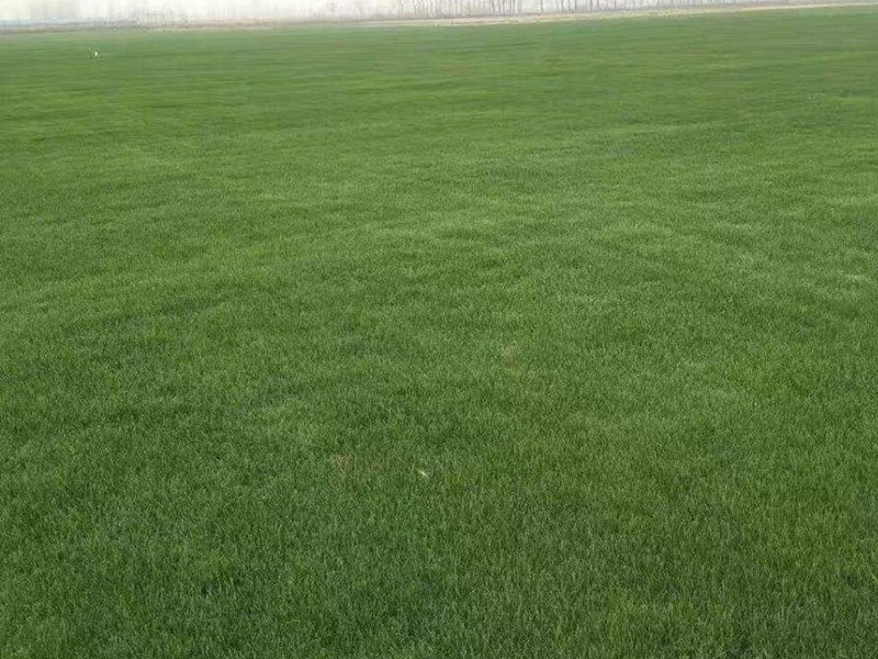 1632667772521858.jpg e9ec57c1d5b0e5c4ecfd1de50bbf6cfa_1591075612513958.jpg