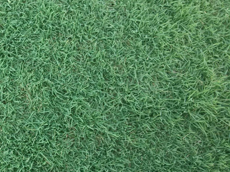 1632667835693403.jpg b9ef328e6d62ca14c7a0a24ad00bc303_1591079031879335.jpg