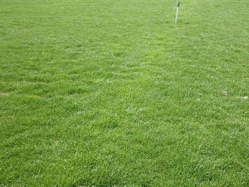 1632670274773816.jpg fc895d1425cce8c708c7eaf62996ad11_1591067708895743.jpg