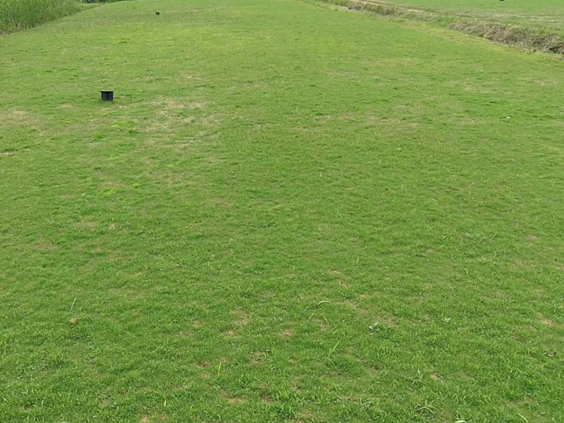 1632671762596932.jpg c5d1c1495f7210ec46937f2b476d6297_1591079787815992.jpg