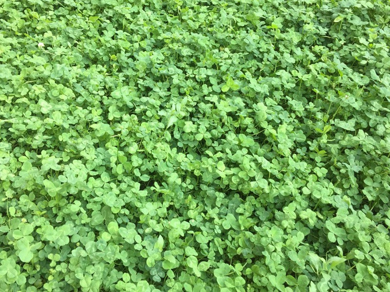 1632674588970759.jpg 1129b83b72c1a558778c41014350cfd6_1591068332148583.jpg