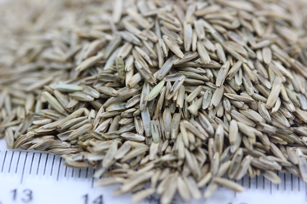 1632705440229445.jpg 46108e4067971024509167cc40d61ec0_1553151861566345.jpg