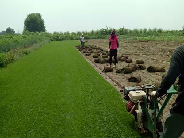 1632705777387053.jpg 20b54481a4c5e5f5868dd24119e9c774_1527148568681978.jpg