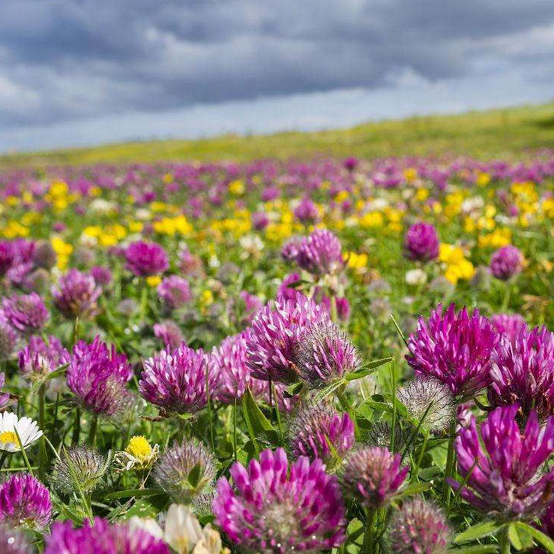 1632743359669594.jpg e3edc09c2fd05ad5a55d316daa7bac64_1584584409103269.jpg