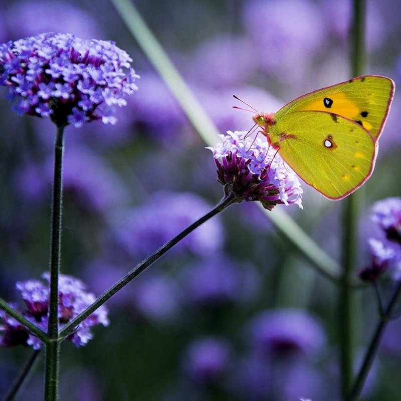 1632748735864570.jpg 5202922831a7a587b537edf3b0e8bf97_1593959797319304.jpg