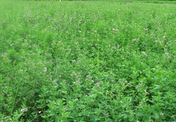 1632783065415312.jpg 5f301d708784c47689db3ac44edd407b_1520910324124406.jpg