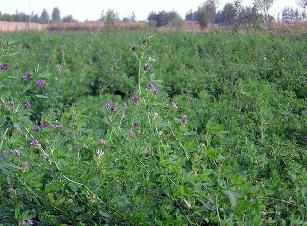 1632795957830004.jpg image.jpg