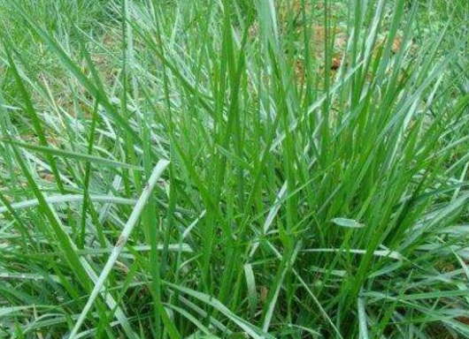 1632797275461640.jpg image.jpg