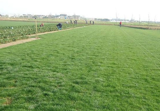 1632797297402562.jpg image.jpg