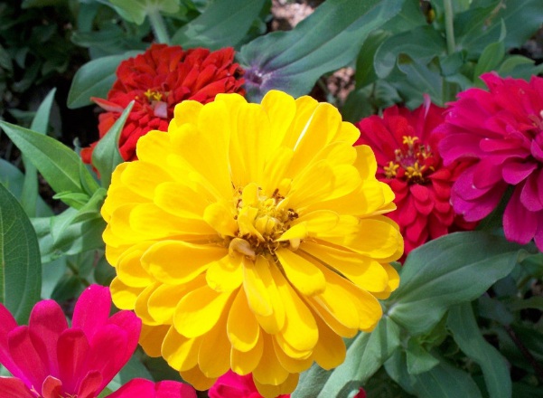 1632800085659012.jpg image.jpg