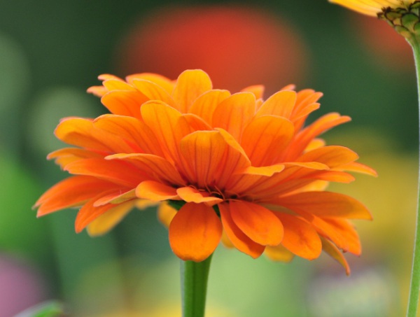 1632800116801385.jpg image.jpg