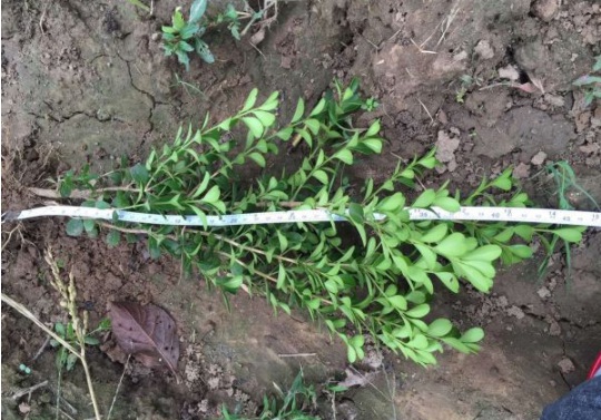 1632811938572159.jpg image.jpg