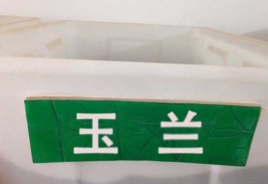 1632829151458237.jpg image.jpg