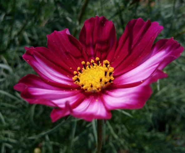 1632829659511617.jpg image.jpg