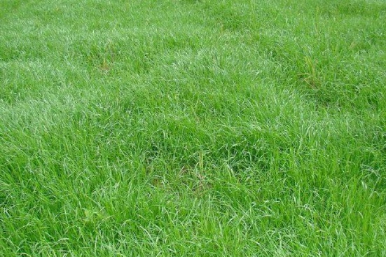 1632834425458165.jpg image.jpg