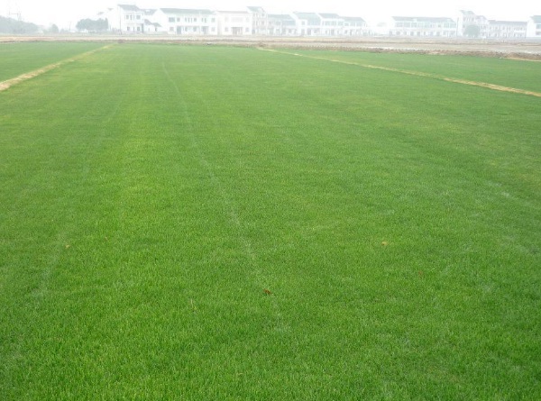 1632835131917121.jpg image.jpg