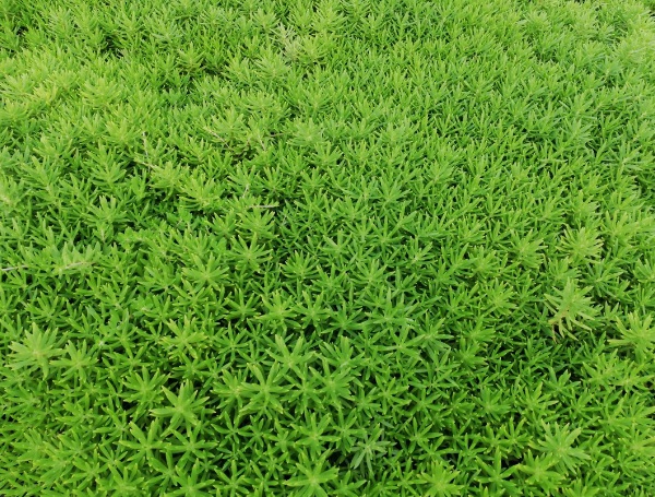 1632836478967065.jpg image.jpg