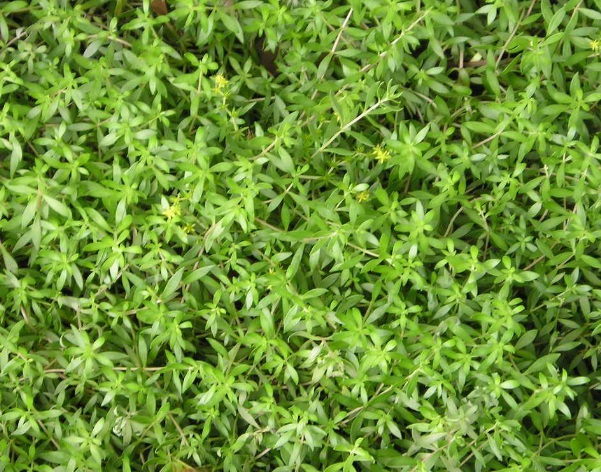 1632836516676860.jpg image.jpg