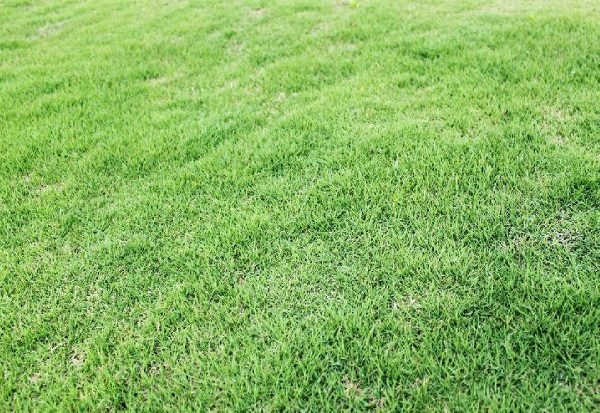 1632875094618053.jpg image.jpg